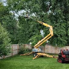 Best Seasonal Cleanup (Spring/Fall)  in Linthicum, MD
