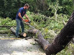 Best Utility Line Clearance  in Linthicum, MD